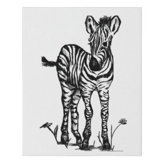 Baby Zebra Black and White Faux Canvas Print
