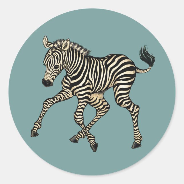 Baby Zebra Classic Round Sticker (Front)