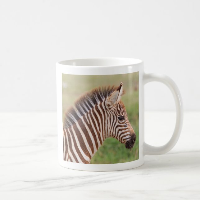 Baby zebra head, Tanzania Coffee Mug (Right)