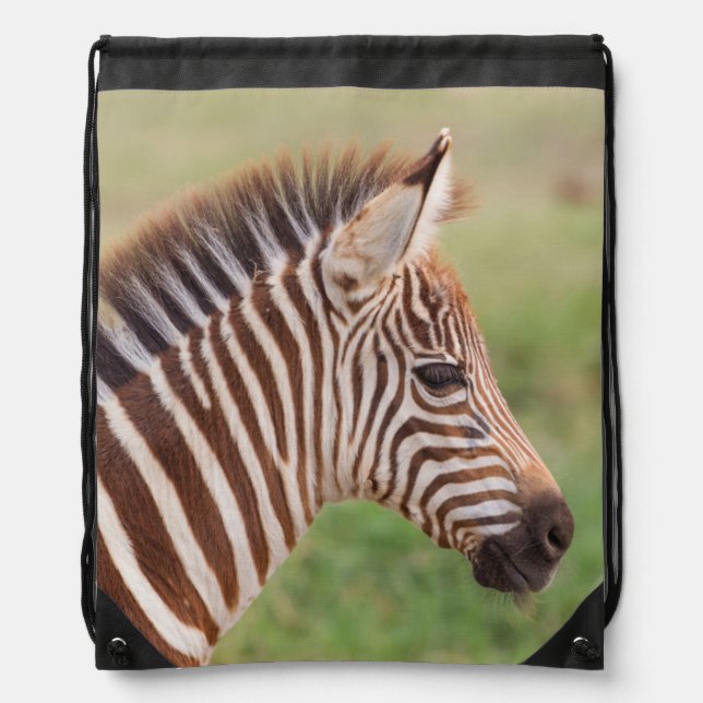 Baby zebra head, Tanzania Drawstring Bag (Front)