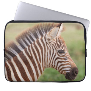 Baby zebra head, Tanzania Laptop Sleeve