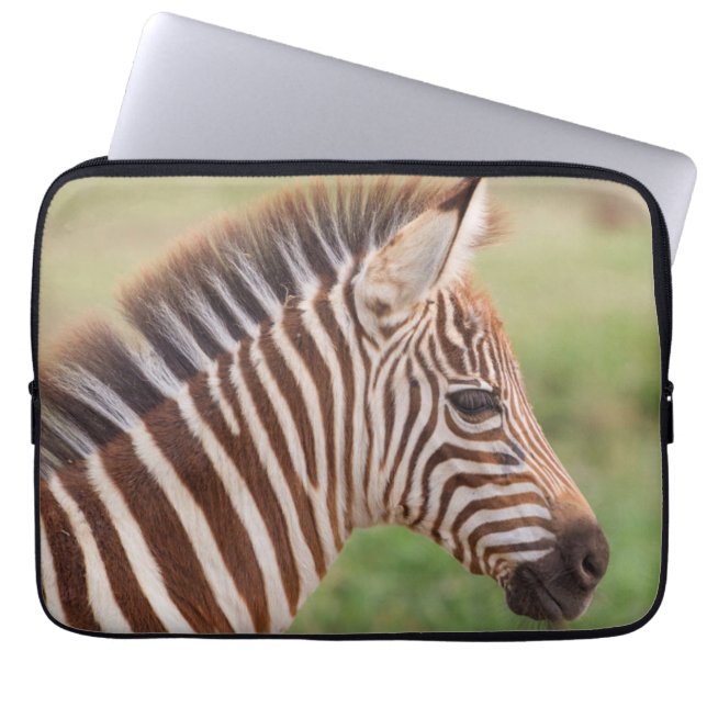 Baby zebra head, Tanzania Laptop Sleeve (Front)