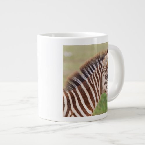 Baby zebra head Tanzania Large Coffee Mug