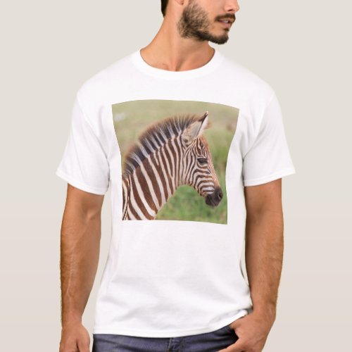 Baby zebra head Tanzania T_Shirt