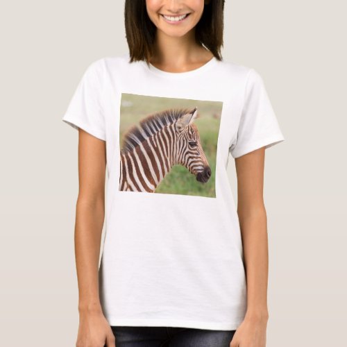 Baby zebra head Tanzania T_Shirt
