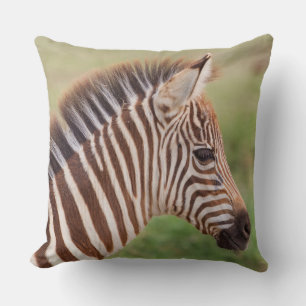 Baby zebra head, Tanzania Throw Pillow