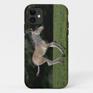 Baby Zebra iPhone 5 Case-Mate Case