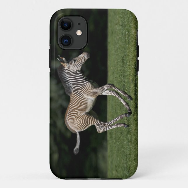 Baby Zebra iPhone 5 Case-Mate Case (Back)