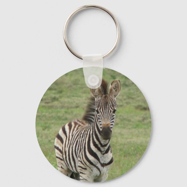 Baby Zebra Keychain (Front)