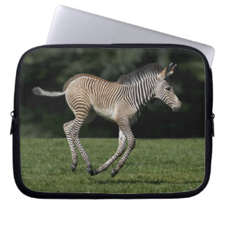 Baby Zebra Laptop Sleeve