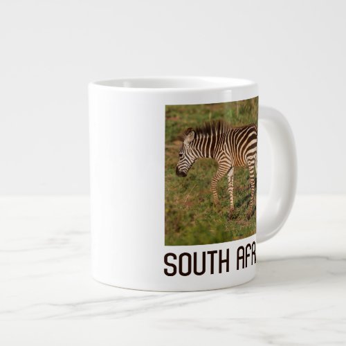 Baby Zebra walking South Africa Giant Coffee Mug
