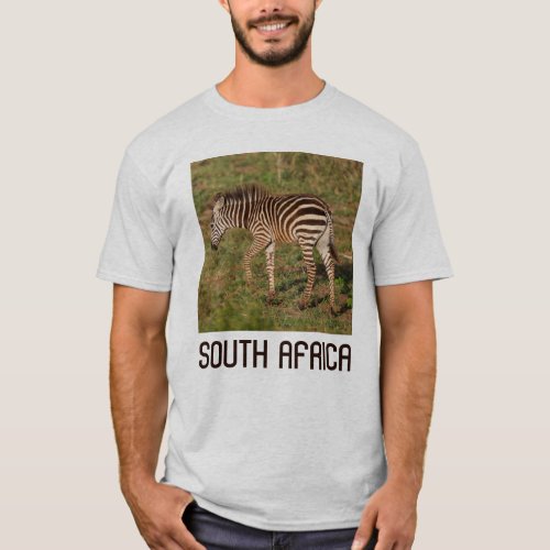 Baby Zebra walking South Africa T_Shirt