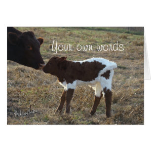 BabyBliss-any occasion-customize Cards