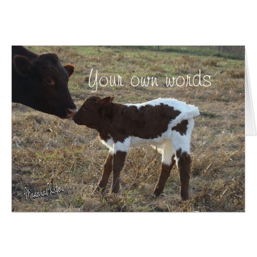 BabyBliss-any occasion-customize Cards (Front Horizontal)