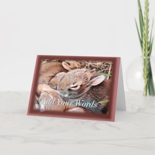 BAbyBunnies_any occasion_customize Card