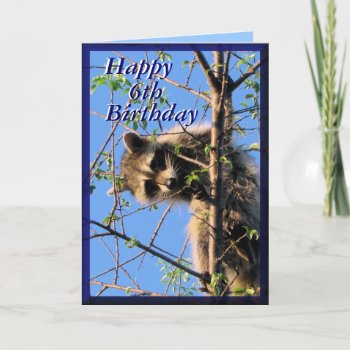 Babycoon-customize Any Occasion Card by MakaraPhotos at Zazzle