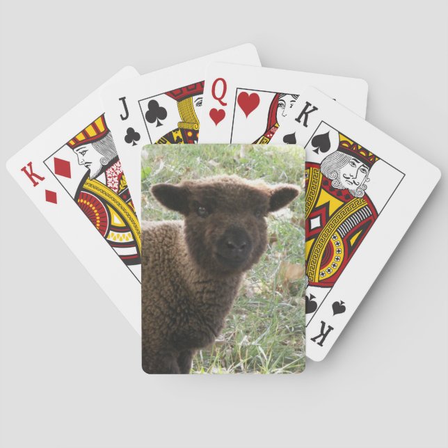 Babydoll Southdown Lamb Poker Cards (Back)