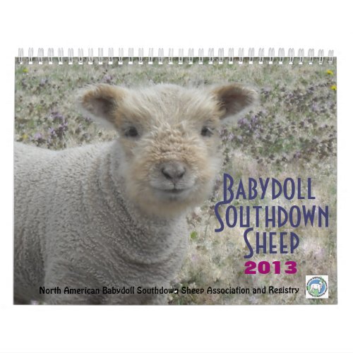 Babydoll Southdown Sheep 2013 NABSSAR calendar