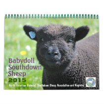 Babydoll Southdown Sheep 2015 NABSSAR Calendar
