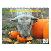 Babydoll Southdown Sheep 2019 NABSSAR Calendar