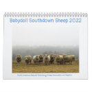 Babydoll Southdown Sheep 2022 NABSSAR Calendar Babydoll Southdown Sheep 2022 NABSSAR Calendar
