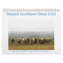 Babydoll Southdown Sheep 2022 NABSSAR Calendar