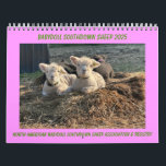 Babydoll Southdown Sheep 2025 Calendar<br><div class="desc">Babydoll Southdown Sheep 2025 NABSSAR Calendar. Throughout the year, the NABSSAR's (North American Babydoll Southdown Sheep Association & Registry) members submit photos of their Babydoll Southdown sheep to be judged by independent judges to be included in our annual calendar. Proceeds from the calendar help with cost involved in running the...</div>