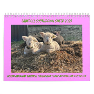 Babydoll Southdown Sheep 2025 Calendar