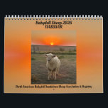 Babydoll Southdown Sheep 2026 NABSSAR Calendar<br><div class="desc">Babydoll Southdown Sheep 2026 NABSSAR Calendar Babydoll Southdown Sheep 2026 NABSSAR Calendar. Throughout the year, the NABSSAR's (North American Babydoll Southdown Sheep Association & Registry) members submit photos of their Babydoll Southdown sheep to be judged by independent judges to be included in our annual calendar. Proceeds from the calendar help...</div>