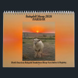 Babydoll Southdown Sheep 2026 NABSSAR Calendar<br><div class="desc">Babydoll Southdown Sheep 2026 NABSSAR Calendar Babydoll Southdown Sheep 2026 NABSSAR Calendar. Throughout the year, the NABSSAR's (North American Babydoll Southdown Sheep Association & Registry) members submit photos of their Babydoll Southdown sheep to be judged by independent judges to be included in our annual calendar. Proceeds from the calendar help...</div>