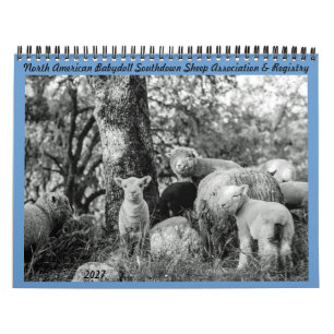 Babydoll Southdown Sheep 2027 Calendar