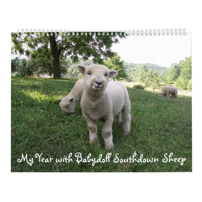 Babydoll Southdown Sheep Calendar (Cover)