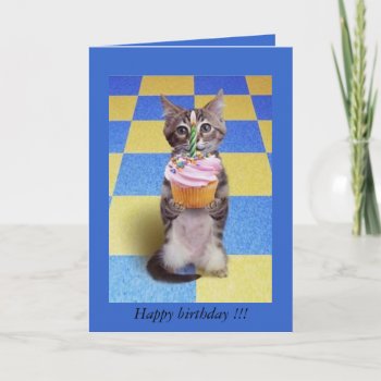 Baby's 1st Birthday - Card by cadeauxpourtoutesocc at Zazzle