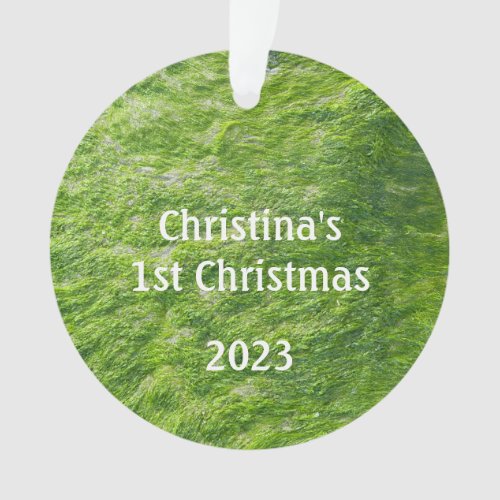 Babys 1st Christmas Green Sea Moss Nature Gift Ornament