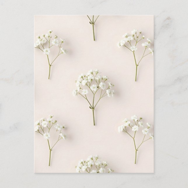 Baby's Breath Delicate Neutral Pattern Postcard (Front)