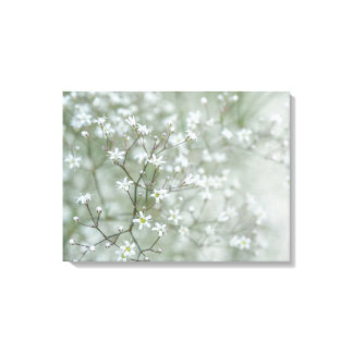 Baby's Breath Flowers Airy Nature Photography Canvas Print