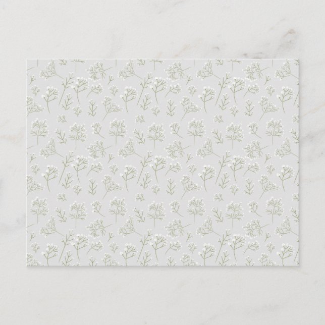 Baby's Breath White Floral Watercolor Gypsophila Postcard (Front)