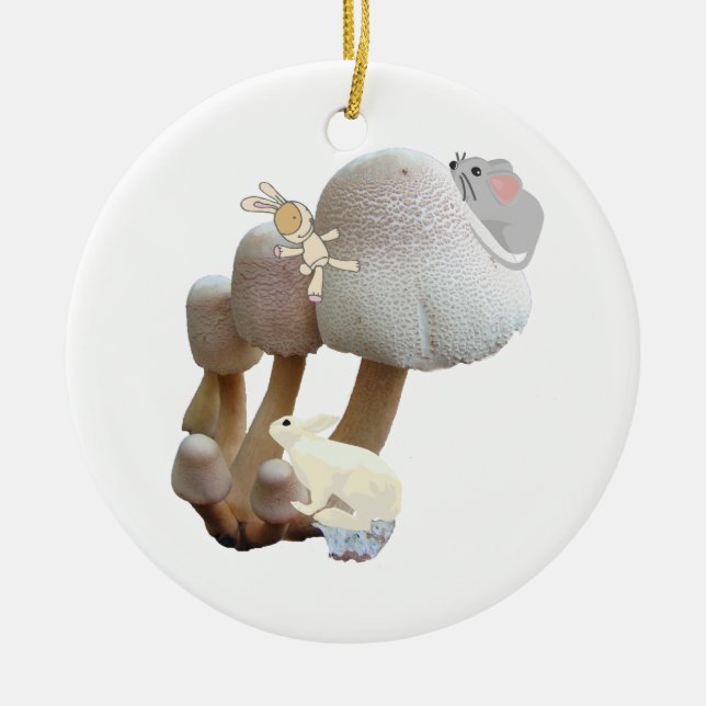 Baby's First Birthday Mushroom Playground Pink Ceramic Ornament (Front)