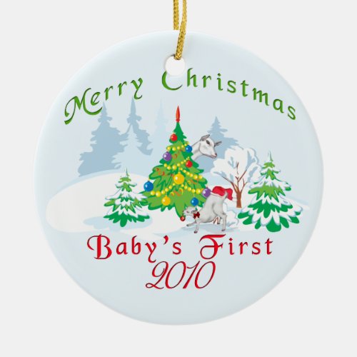 Babys First Christmas 2010 Ornament