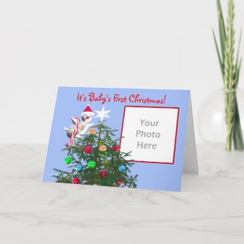 Baby's First Christmas - Christmas Bird Photo Card by xfinity7 at Zazzle