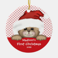 Baby's First Christmas Ornament Santa Bear