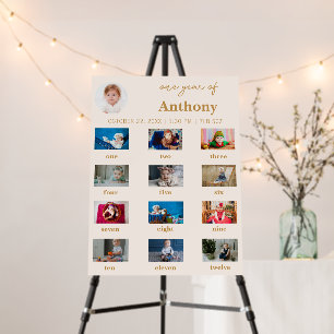 Baby's First Year 1st Birthday Photo Milestone Foam Board