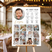 Baby's First Year Milestone 1st Birthday Photo