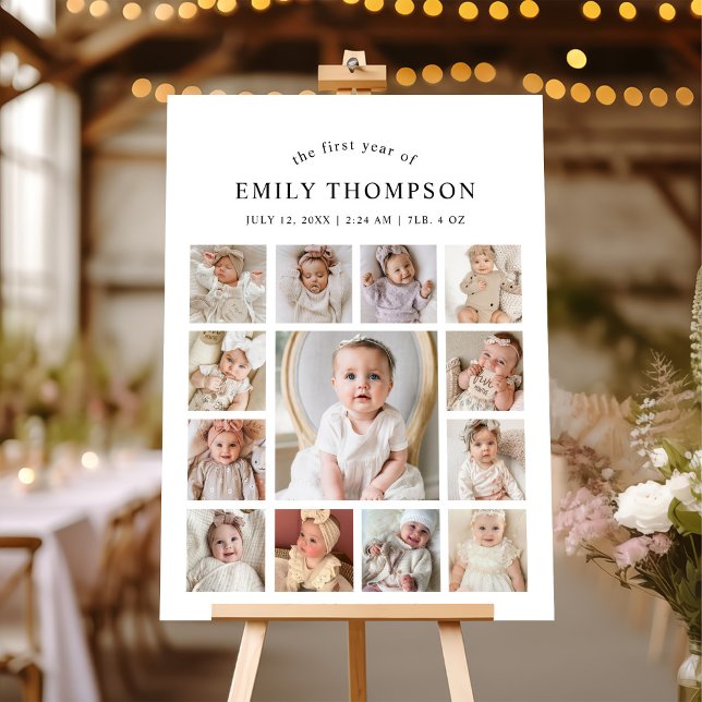 Baby's First Year Photo 1st Birthday Milestone Foam Board (Creator Uploaded)