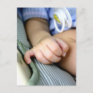 Baby's Hand Postcard