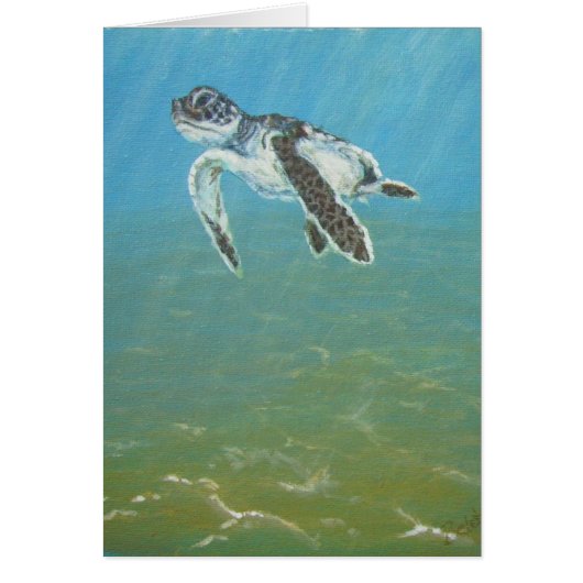 babyturtle cards (Front)