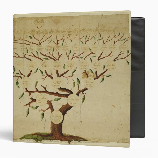 Bach Family Tree, c.1750-1770 Binder (Front/Inside)