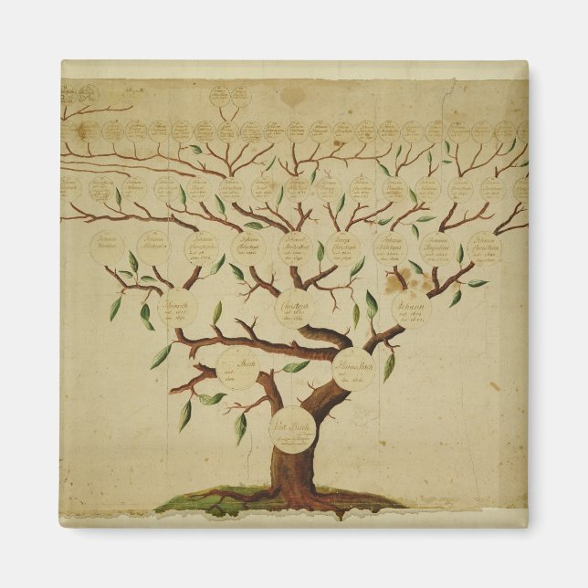 Bach Family Tree, c.1750-1770 Magnet (Front)