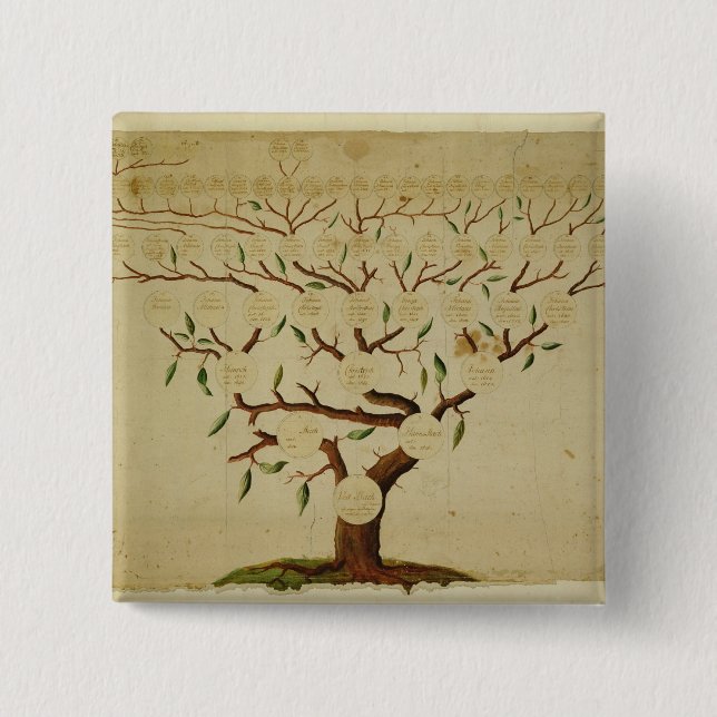 Bach Family Tree, c.1750-1770 Pinback Button (Front)