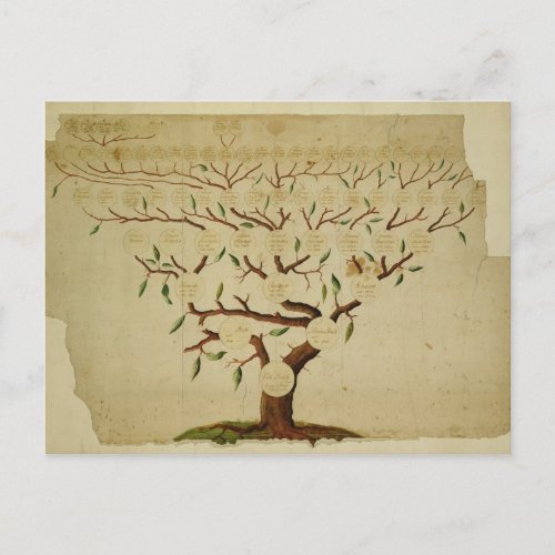 Bach Family Tree c1750_1770 Postcard